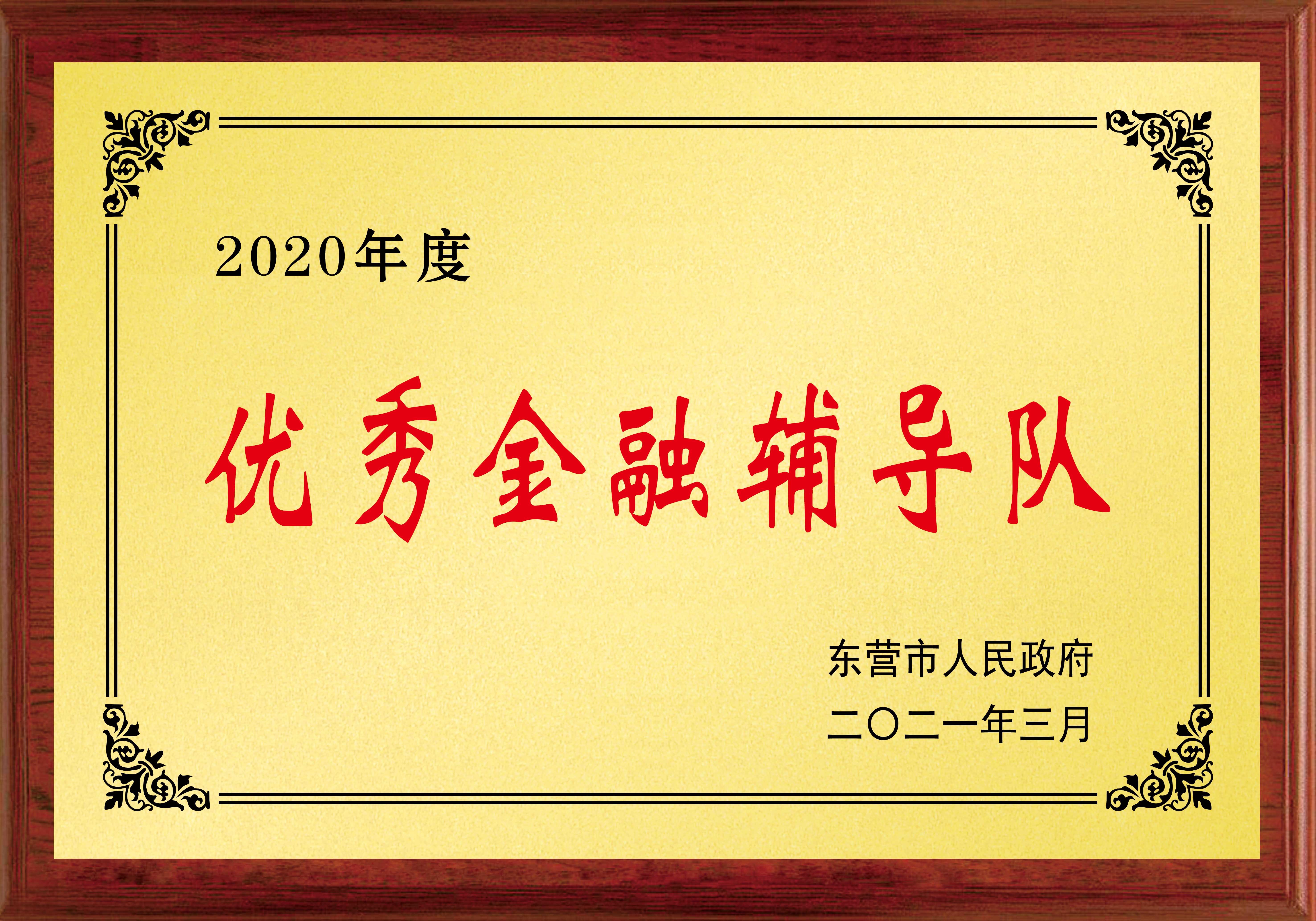2020年度 优秀金融辅导队